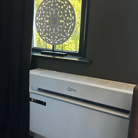 罗恩赫特怀蓬酒店 Rhoon